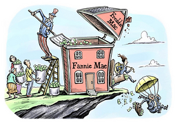 [Hank Paulson's Fannie Gamble]